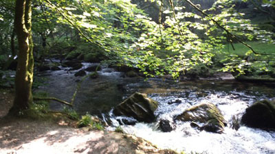 Golitha Falls