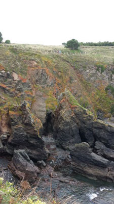 Lizard Cliffs