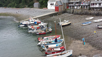 Clovelly Boats